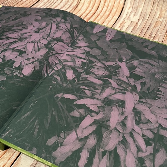 The Exuberant Garden and the Controlling Hand - Picture 16 of 16